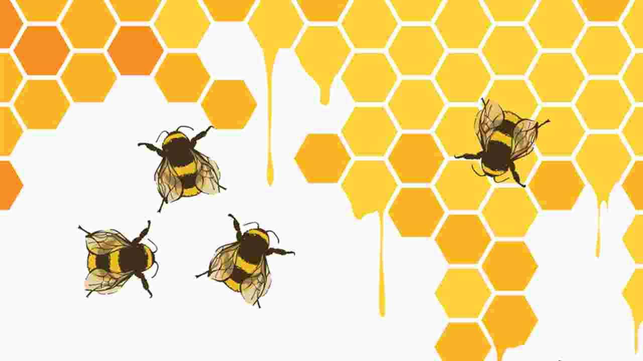  Join the Hive