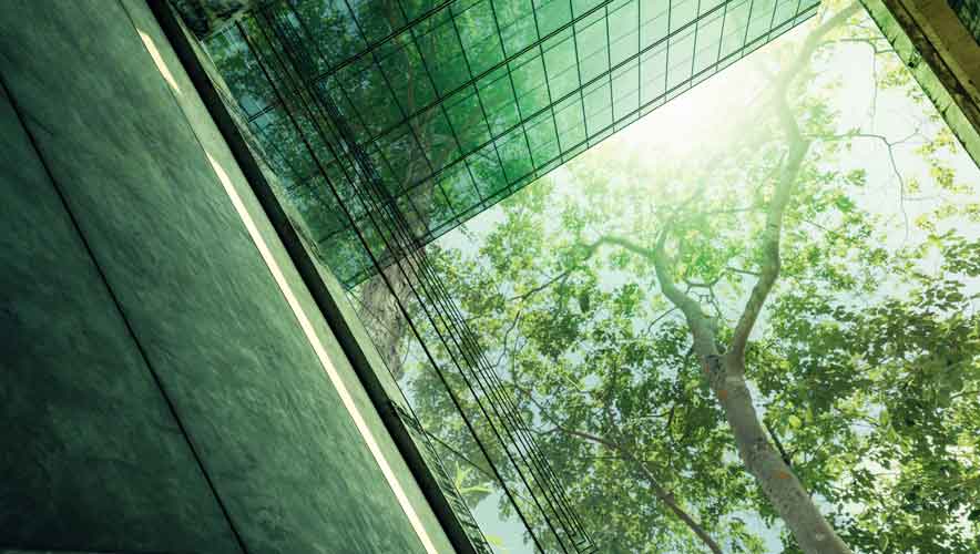 View from a central apartment courtyard, capturing a tree branch against the sky. The image exudes a dreamy ambiance with rich, green undertones, creating a captivating, almost foggy scene.